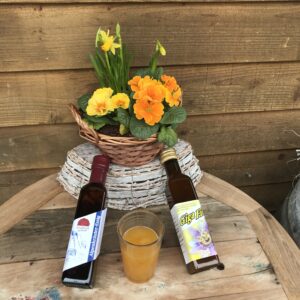 Energiespender-Duo - Fit in den Frühling