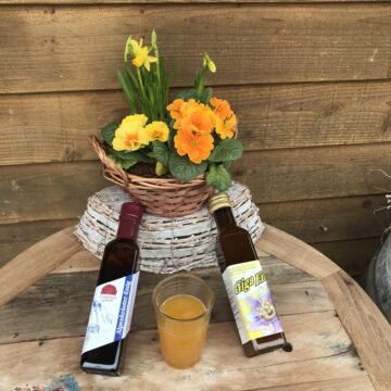 *ENERGIE-SPENDER* Starten Sie fit in den Frühling!