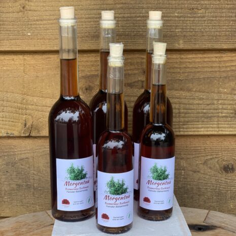 Rosmarin Quadrat Rosmarin Quadrat